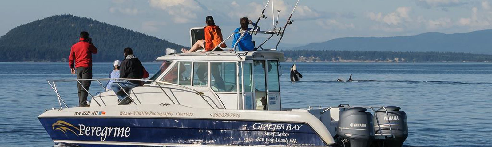 Whale Watching Tours San Juan Island - Maya's Legacy