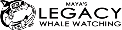 Maya's Legacy Whale Watching