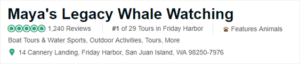 Maya's Legacy Whale Watching TripAdvisor ranking