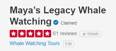 Yelp reviews for Maya's Legacy Whale Watching