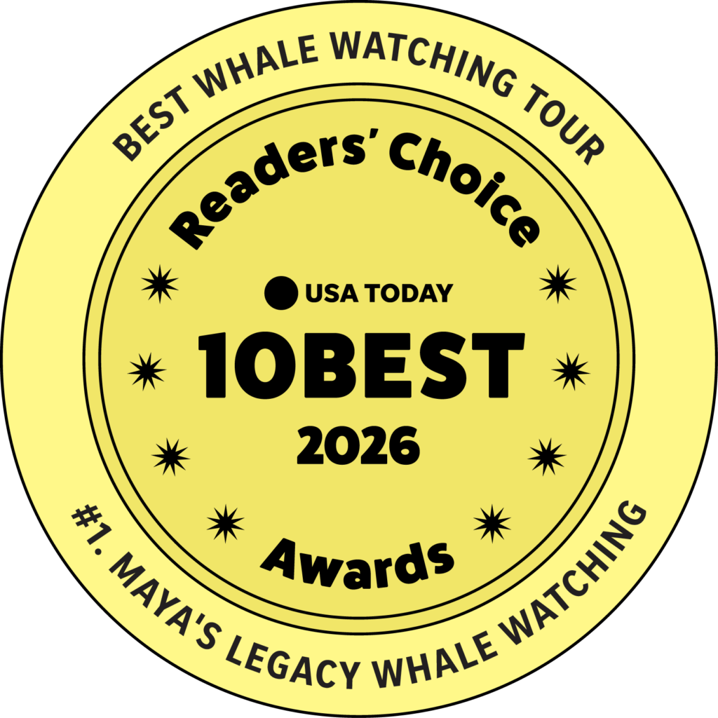 USA Today #1 Best Whale Watching Tour